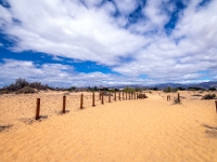 Dunes de Maspalomas